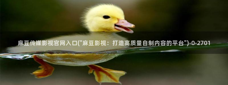 麻豆视频文章内容