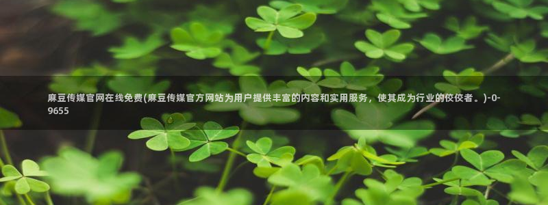 麻豆新片描述
