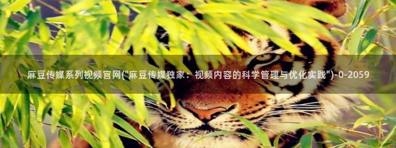 麻豆视频标签规划