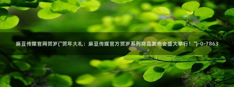 麻豆视频站