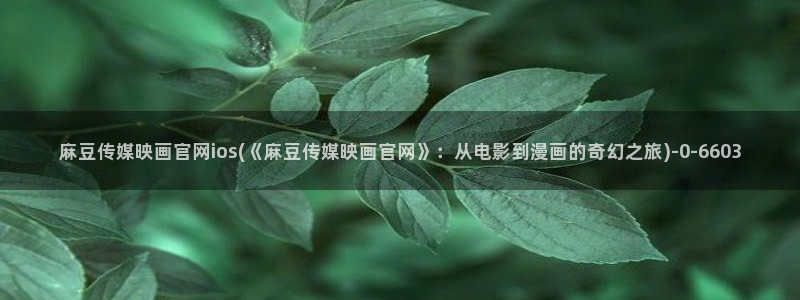 麻豆视频资源站