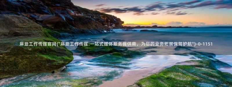 麻豆短剧
