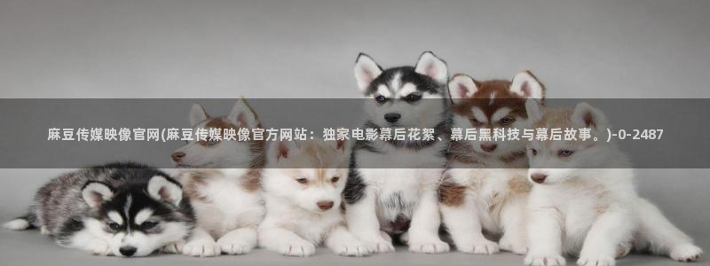 麻豆关键词库