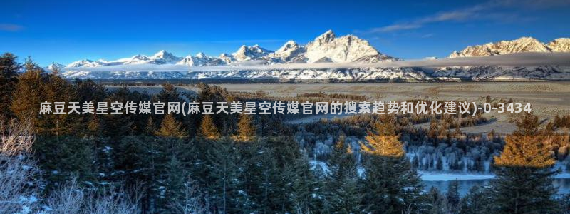 麻豆人物关系