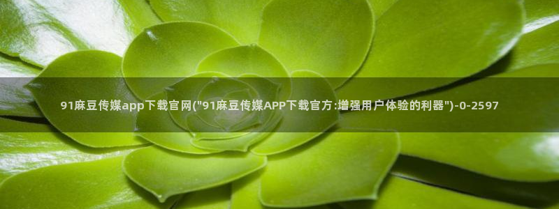 麻豆视频栏目文案