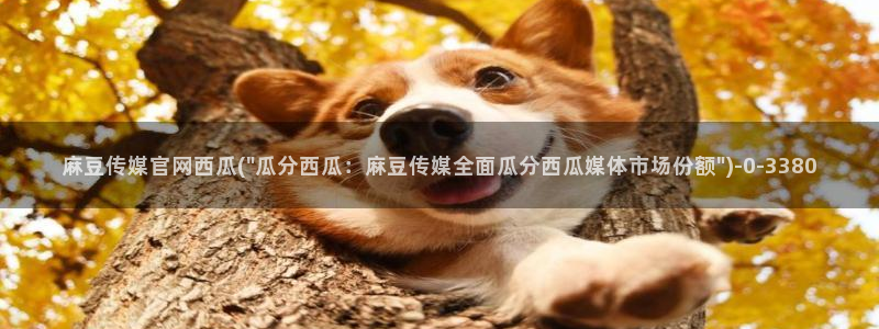 麻豆视频列表文案