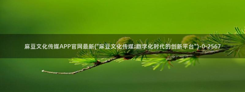 麻豆视频资源站