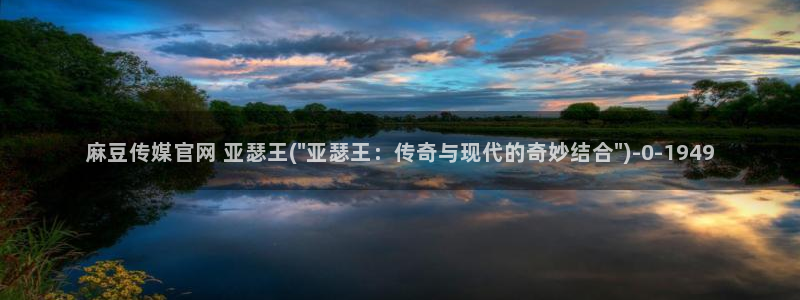 麻豆视频文章描述