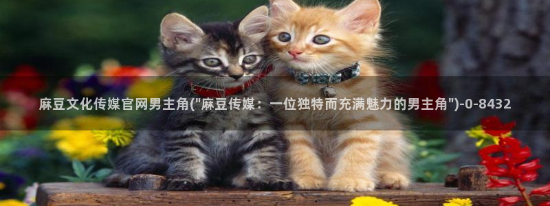 麻豆视频站内文案