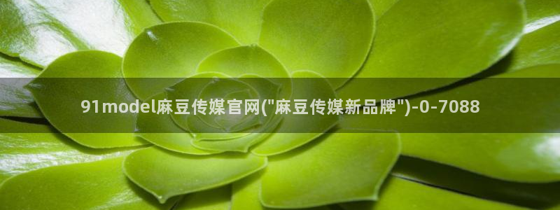 麻豆视频库