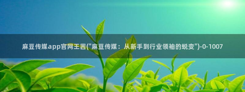 麻豆视频可读内容