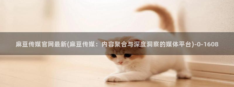 麻豆内容整理