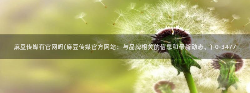 麻豆视频更新维护