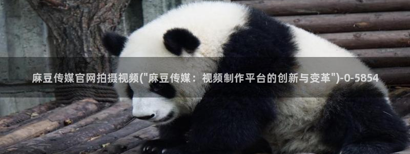 麻豆剧情解析