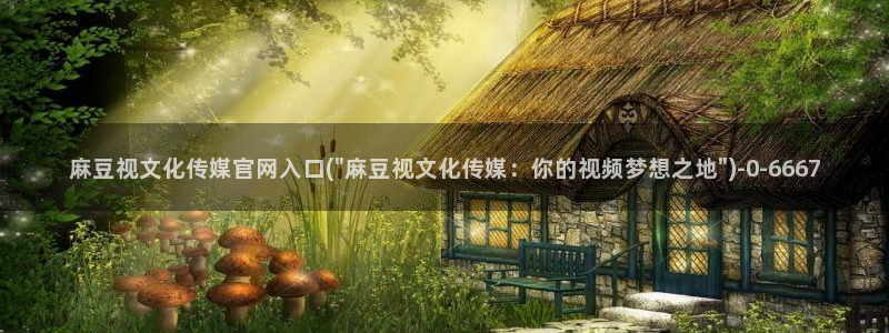 麻豆资讯描述