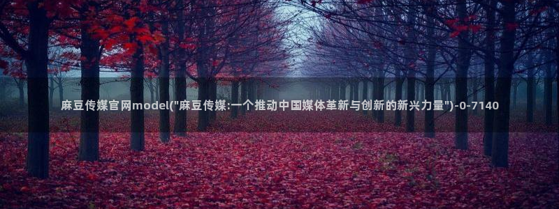 麻豆视频分类规则