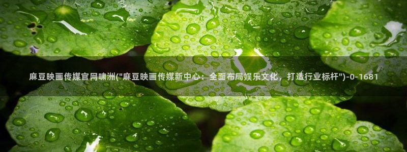 麻豆视频页面描述