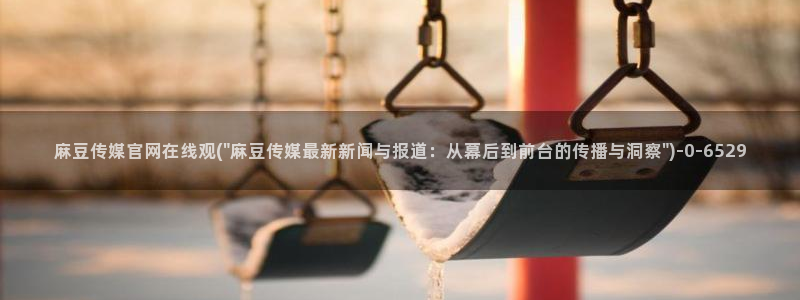 麻豆视频在线观看