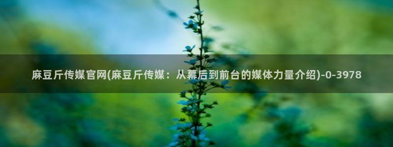 麻豆高清视频