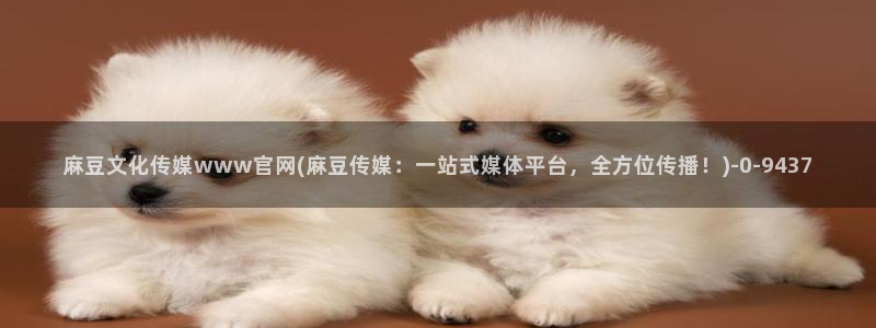 麻豆视频资讯文案：麻豆文化传媒www官网(麻豆传媒：一站式媒体平台，全方