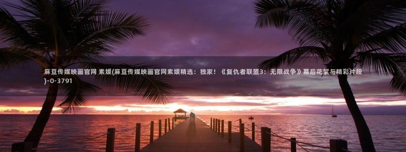 麻豆视频网站